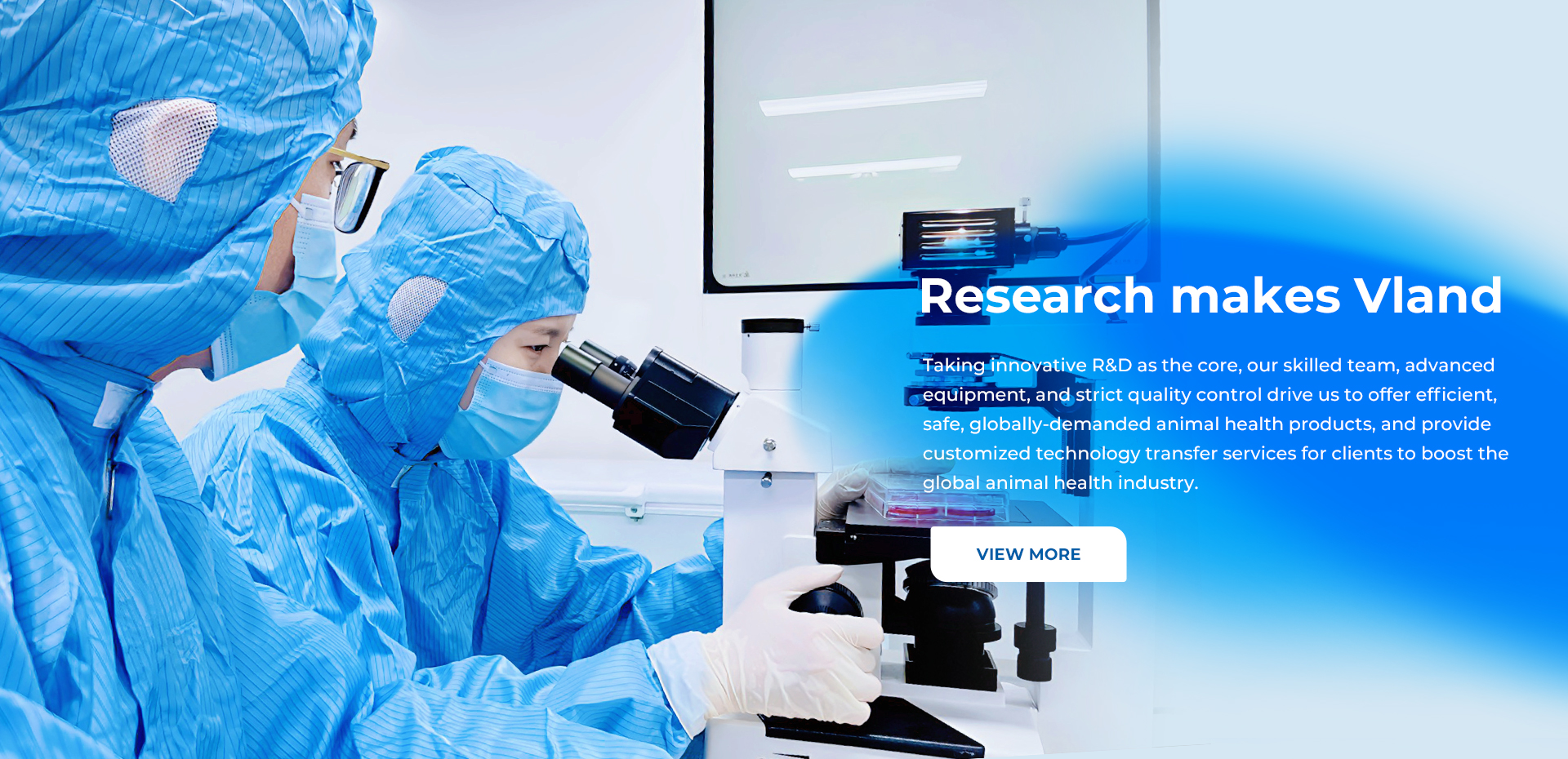 vlandanimalhealth research