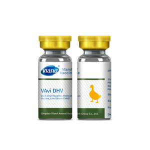 Duck Viral Hepatitis Attenuated Vaccine, Live (Strain CH60)