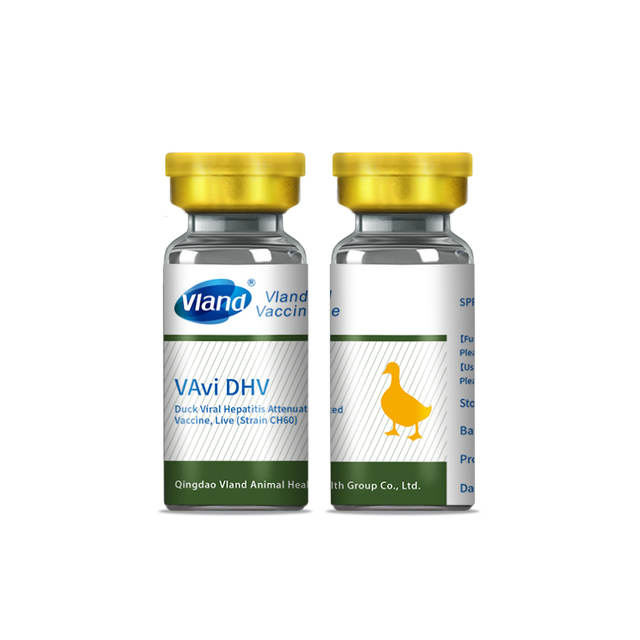 Duck Viral Hepatitis Attenuated Vaccine, Live (Strain CH60)