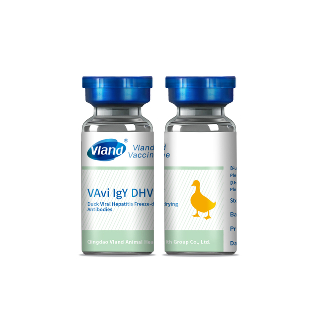 Duck Viral Hepatitis Freeze-drying Antibodies