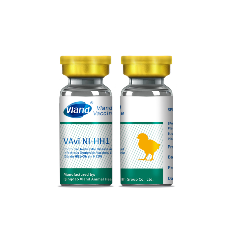 Combined Newcastle Disease and Infectious Bronchitis Vaccine, Live 