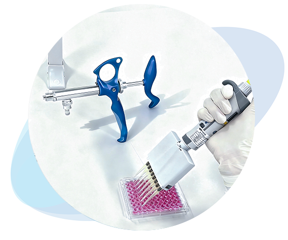 Complementary Products & Services