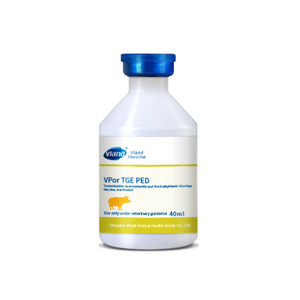 Transmissible Gastroenteritis and Porcine Epidemic Diarrhea Vaccine, Inactivated