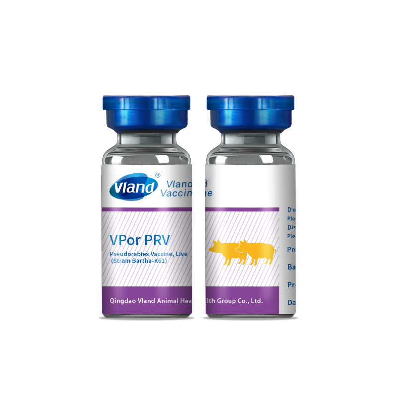 Pseudorabies Vaccine, Live (Strain Bartha-K61)