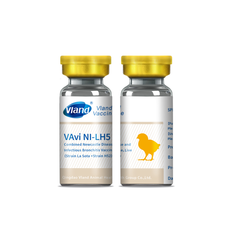 Combined Newcastle Disease and Infectious Bronchitis Vaccine, Live 
