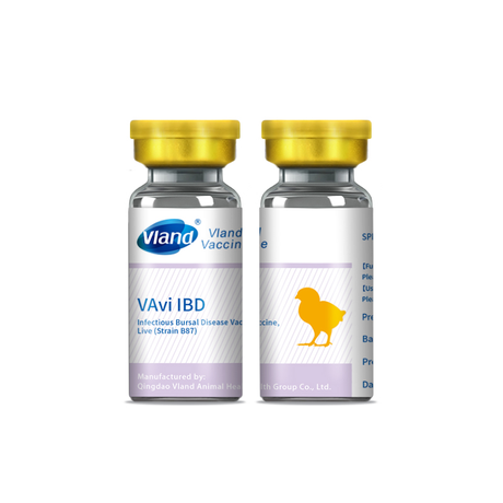 Infectious Bursal Disease Vaccine, Live (Strain B87)