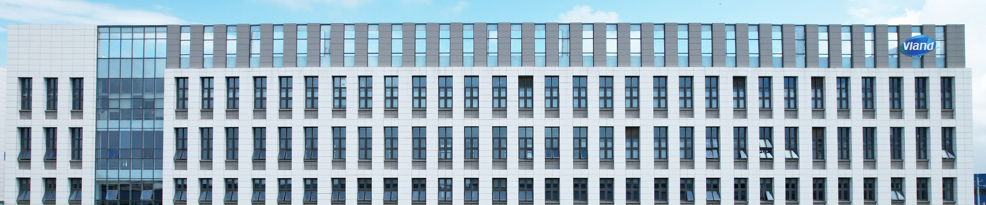 vland health company advantages banner