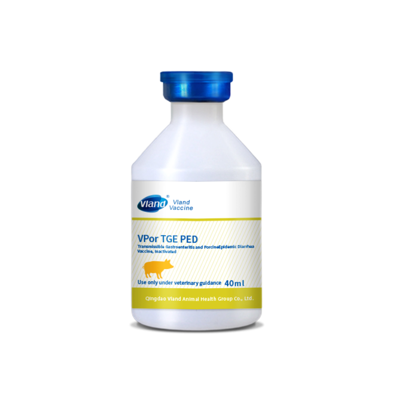 Oral Vaccination in Piglets: What to Check in TGE and PED Programs