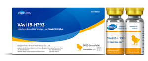 Infectious Bronchitis Vaccine, Live (Strain 793B Like)