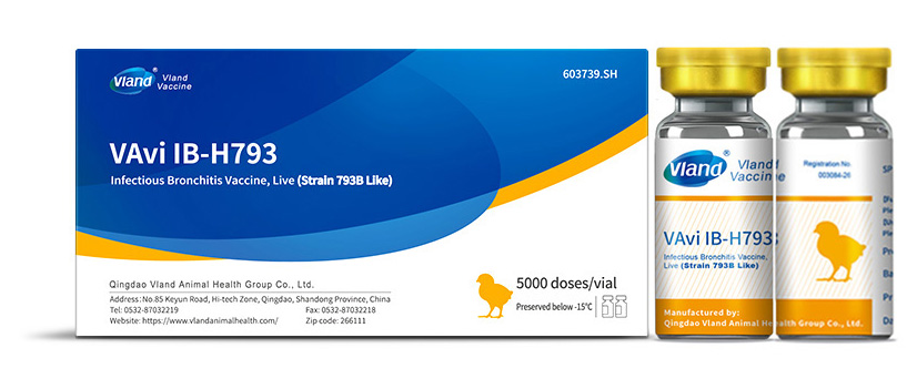 Infectious Bronchitis Vaccine, Live (Strain 793B Like)