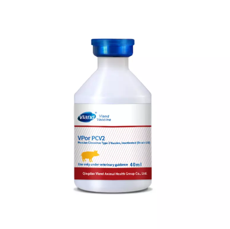 Choosing The Right Swine Vaccine For Piglet Health.png