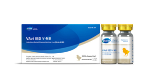 Infectious Bursal Disease Vaccine, Live (Strain V-MB)