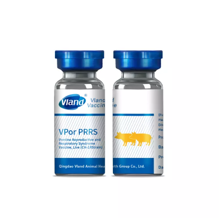 Porcine Reproductive and Respiratory Syndrome Vaccine Porcine Reproductive and Respiratory Syndrome Vaccine