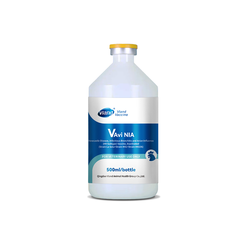 How to Read Strain Combinations on a Poultry Vaccine Label
