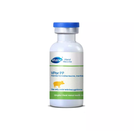 Swine vaccine Swine vaccine