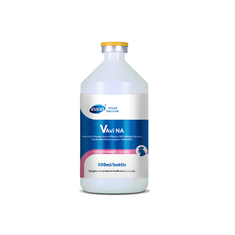 Cold-Chain Checks for Inactivated Poultry Vaccine Shipments